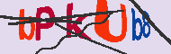 Codice captcha