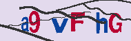 Codice captcha