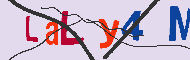 Codice captcha