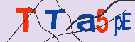 Codice captcha