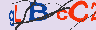 Codice captcha