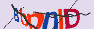 Codice captcha